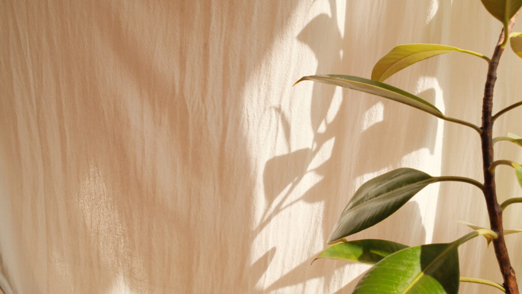 メインビジュアル